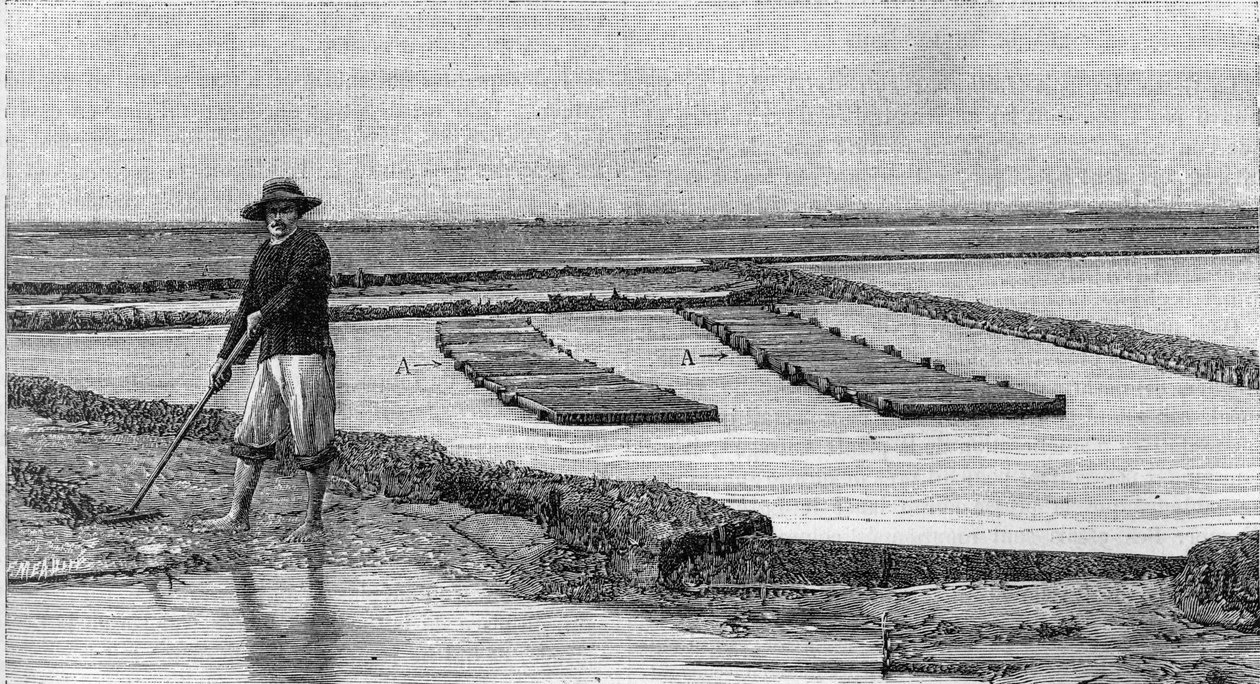 Ostreiculture - pěstování ústřic v povodí Arcachon (1894): celkový pohled na ústřicový park. A, A: sanitky nebo ostreofilní bedny. (Z fotografie). Gravírování v „“ La Nature: revue des sciences et de leurs applications aux arts et a l