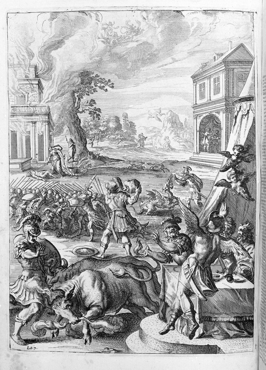 Ovidius (Ovidius) - ilustrace ke knize 15 - (P. Ovidiovy Metamorfózy noci od Unknown artist