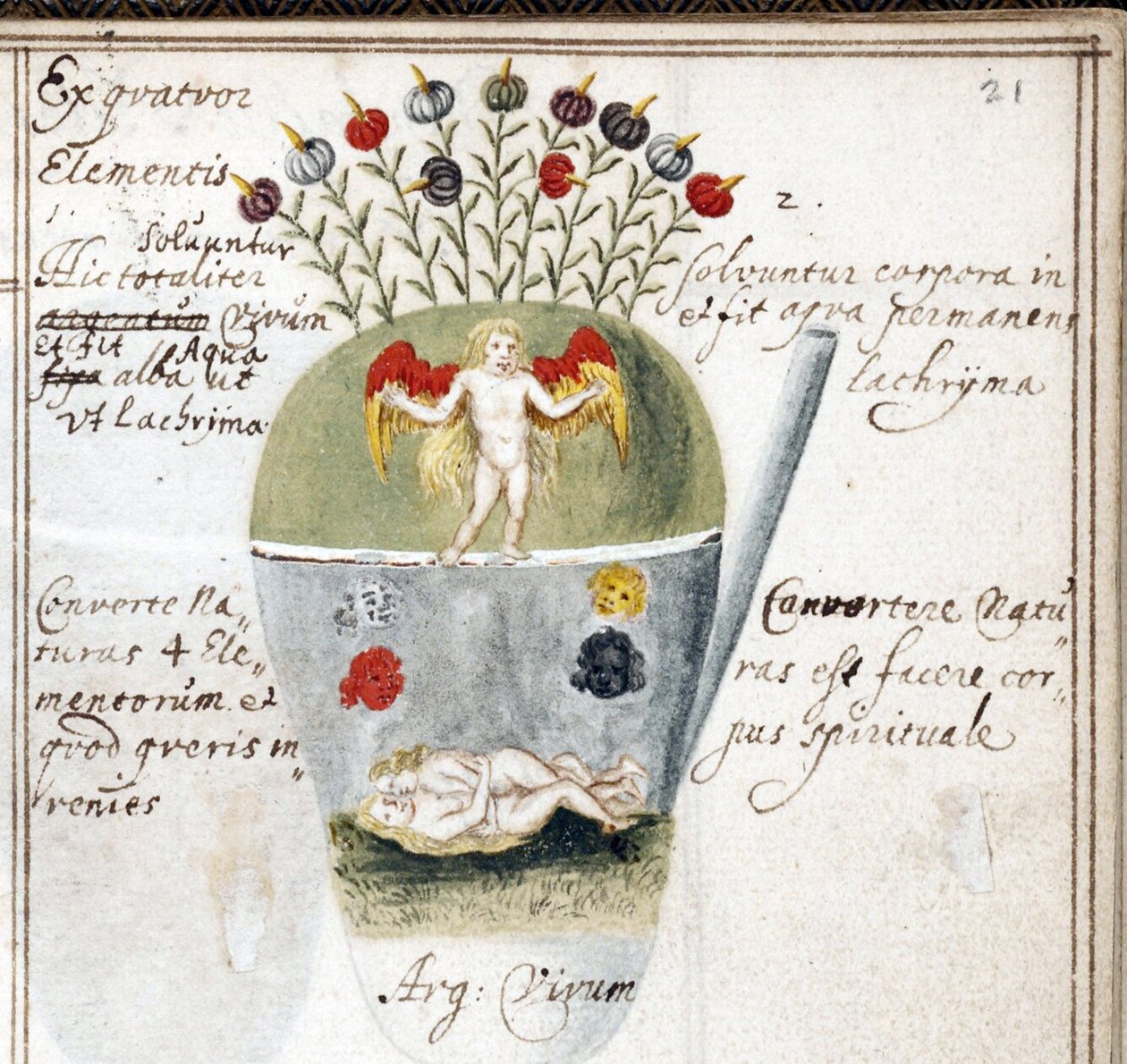 Stránka z alchymistického zápisníku, pár a anděl - Dílo Johanna Grasshoffa (Grasshof nebo Grasse) (1560-1623), akvarel na pergamenu (14,6x10 cm), cca 1620 - (Alchymistický zápisník, Akvarel na pergamenu od J. Grasshoffa , kolem 1620) - Yale University, Ne od Unknown artist