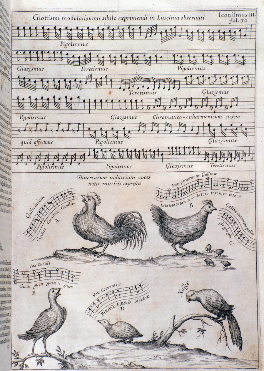 Stránka z Musurgia (1650) od Unknown artist