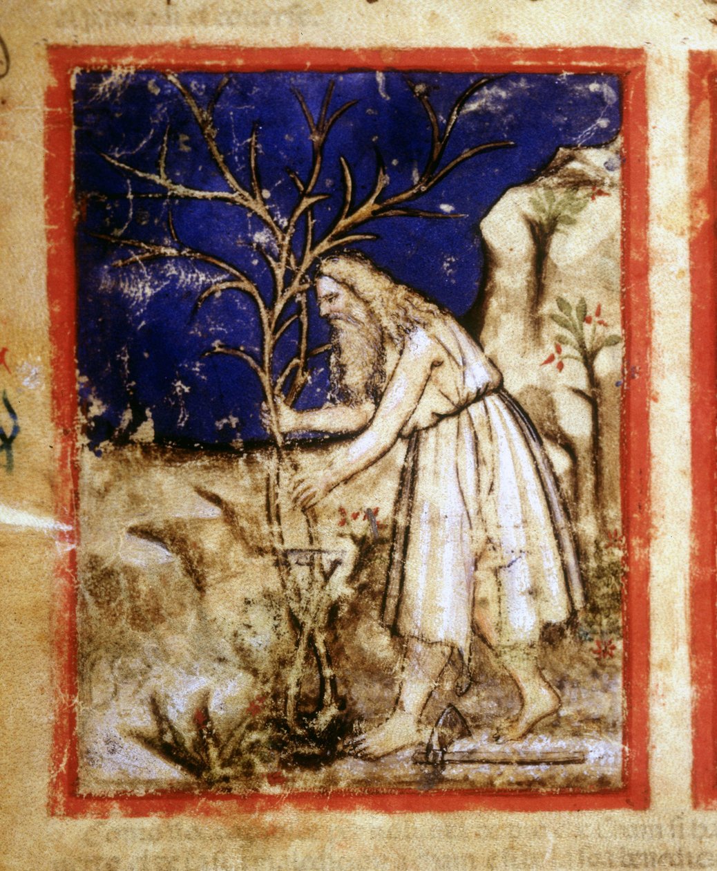 Stránka rukopisu Bible. Noemův rostlinný život. Miniatury z kodexu 212 (nebo Padovano Codice nebo Bible z Padovy) 1390-1400 Rovigo, Accademia dei Concordi od Unknown artist