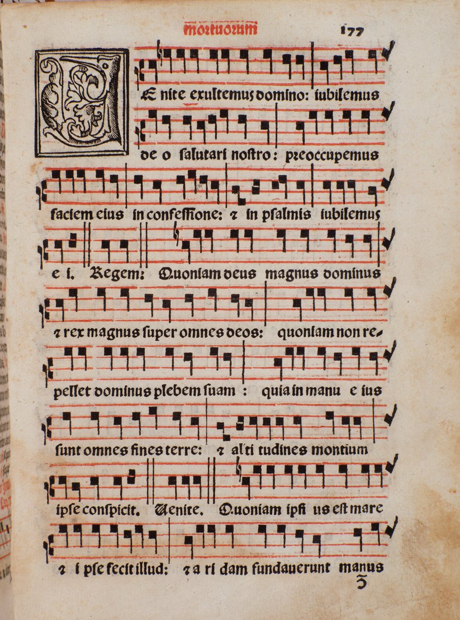 Stránka liturgické knihy „Kněžská kniha“ od Castelliniho od Unknown artist