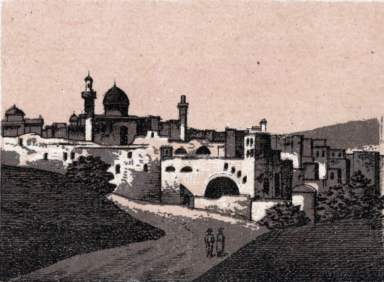 Palestina: pohled na město Jeruzalém. v „“ Svět ilustruje 168 pohledů““ Nedatováno (konec 19. století) od Unknown artist