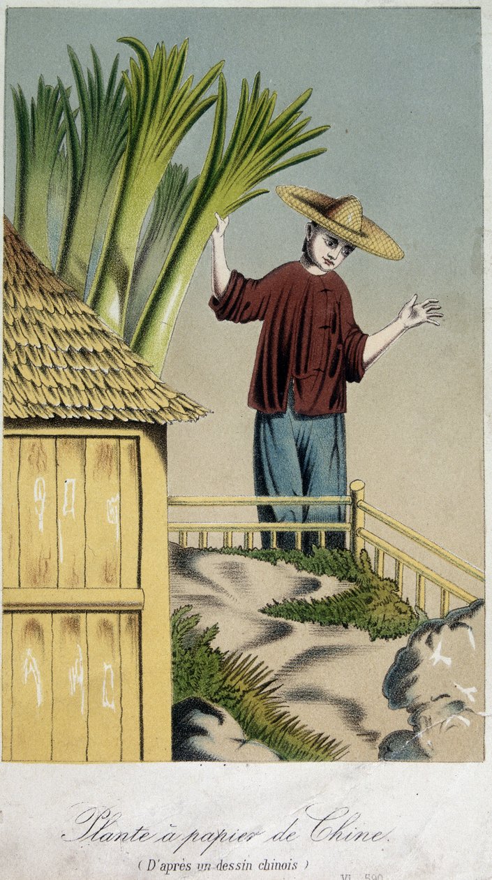 Papírna, Čína - rytina od Unknown artist