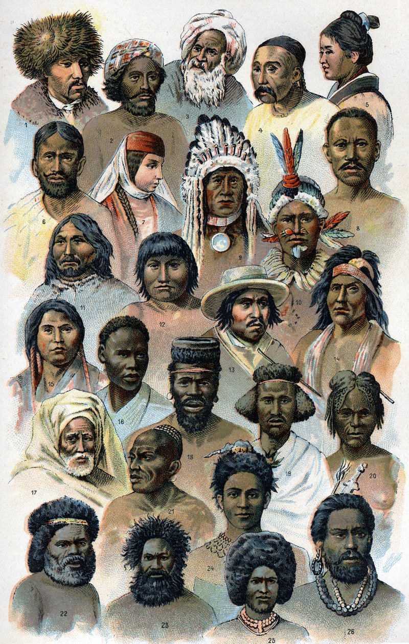 Fyziognomie a tvar hlavy cizích lidských ras.” “Nový přírodní lék”” od F.E. Bilze.1898. od Unknown artist
