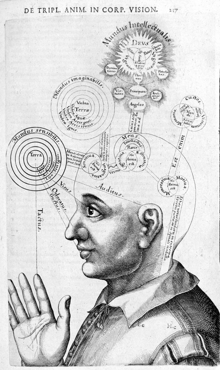 Fyziognomický obrázek (frenologie) z The Collected Works of Robert Fludd (Robertus de Fludd). Londýn 1617 od Unknown artist