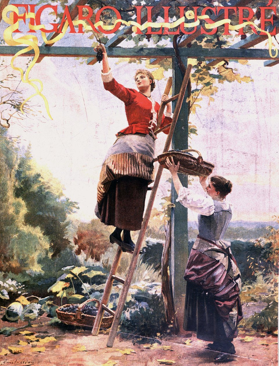 Sběr hroznů v zavěšených vinicích - ve „“ Figaro illustré“, říjen 1891 od Unknown artist