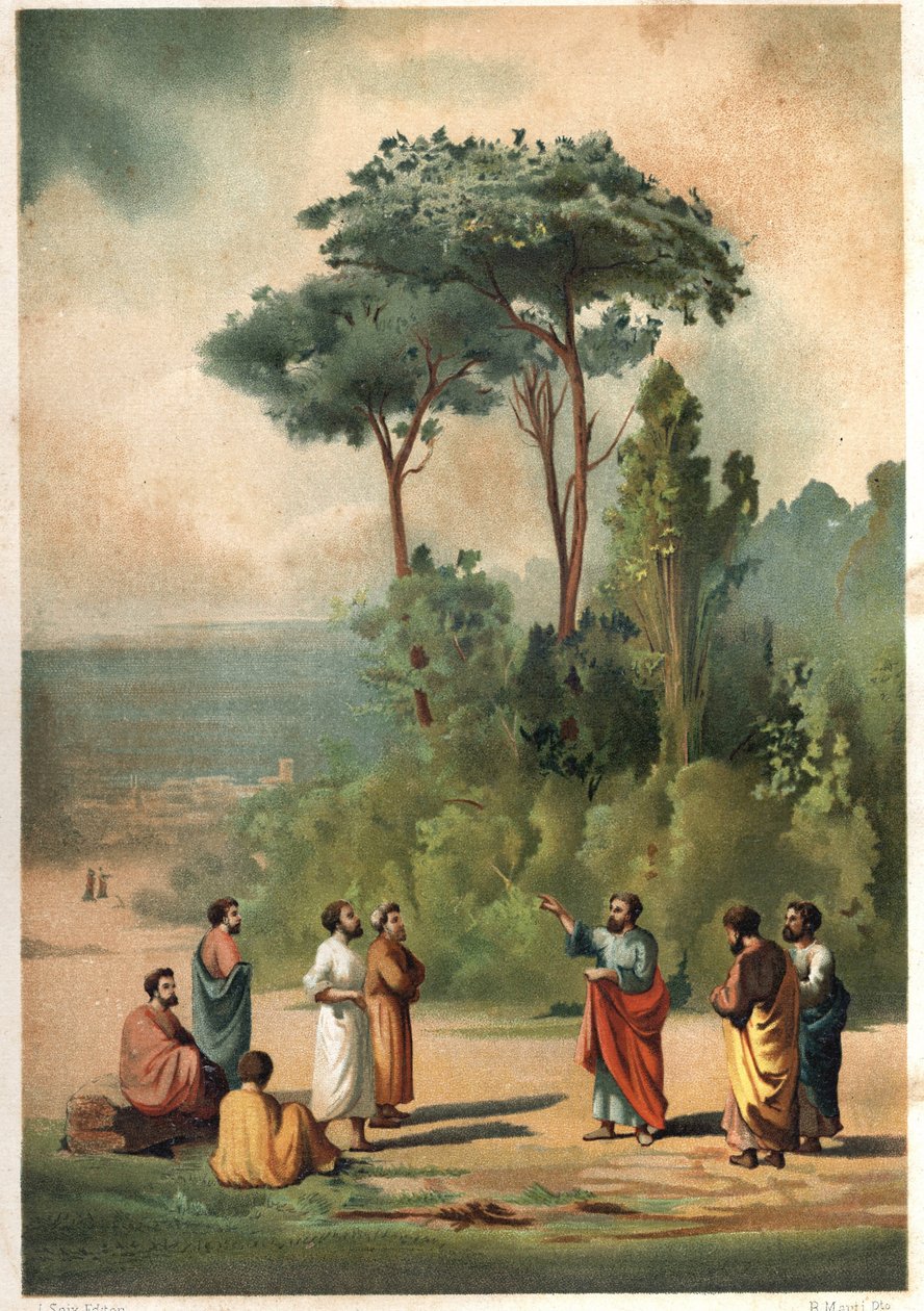 Platón a jeho žáci v zahradách Akademie. po hombres y Mujeres slavný. Barcelona 1877. od Unknown artist