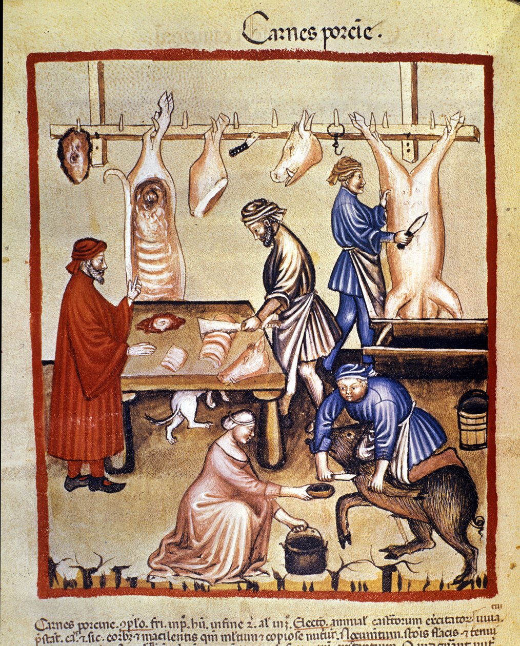 Výroba vepřového masa. Prase je poraženo a řezníci krájí kusy. Osvětlení z dojení medicíny a dietetiky „“Tacuinum sanitatis““ od Unknown artist