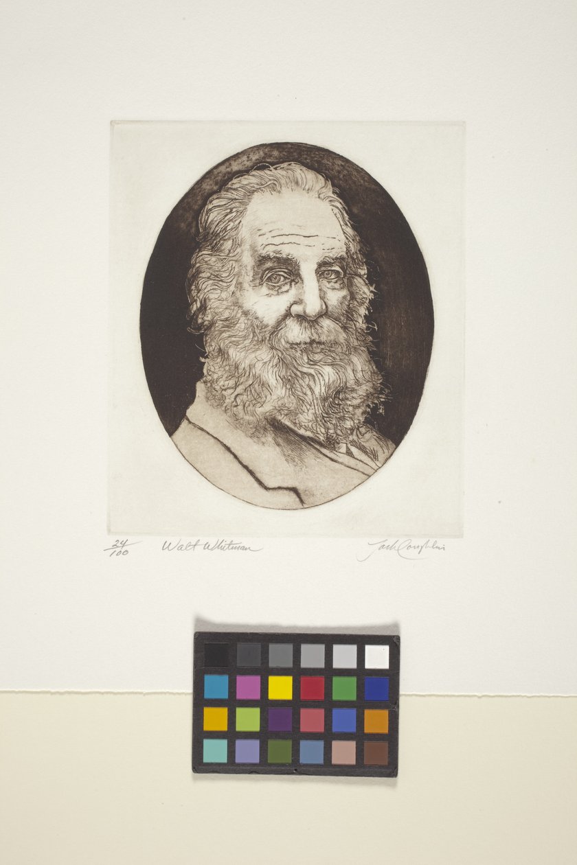 Portrét Walta Whitmana (inkoust, tisk) od Unknown artist