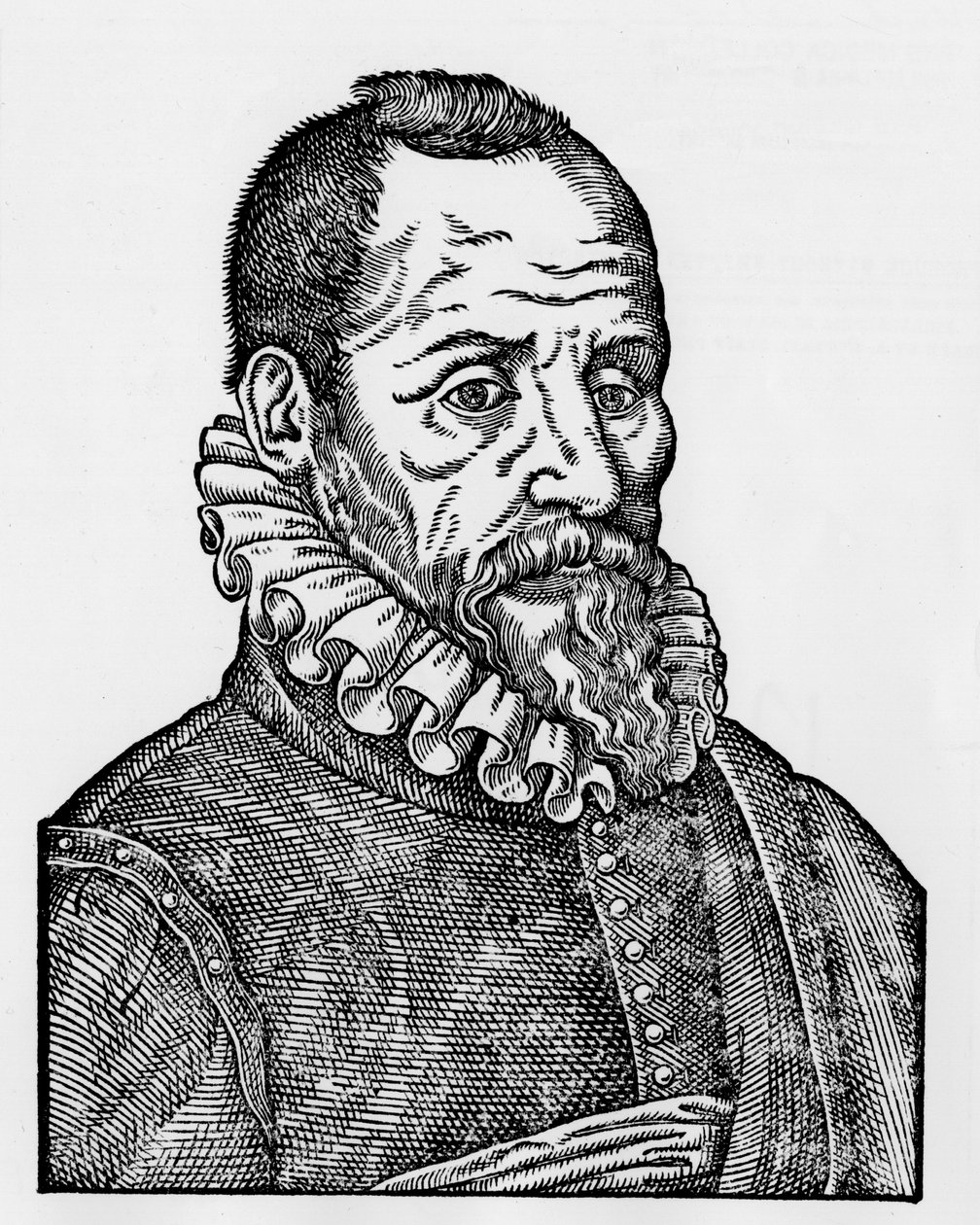 Portrét Ambroise Paré (1509-1590), francouzský chirurg od Unknown artist