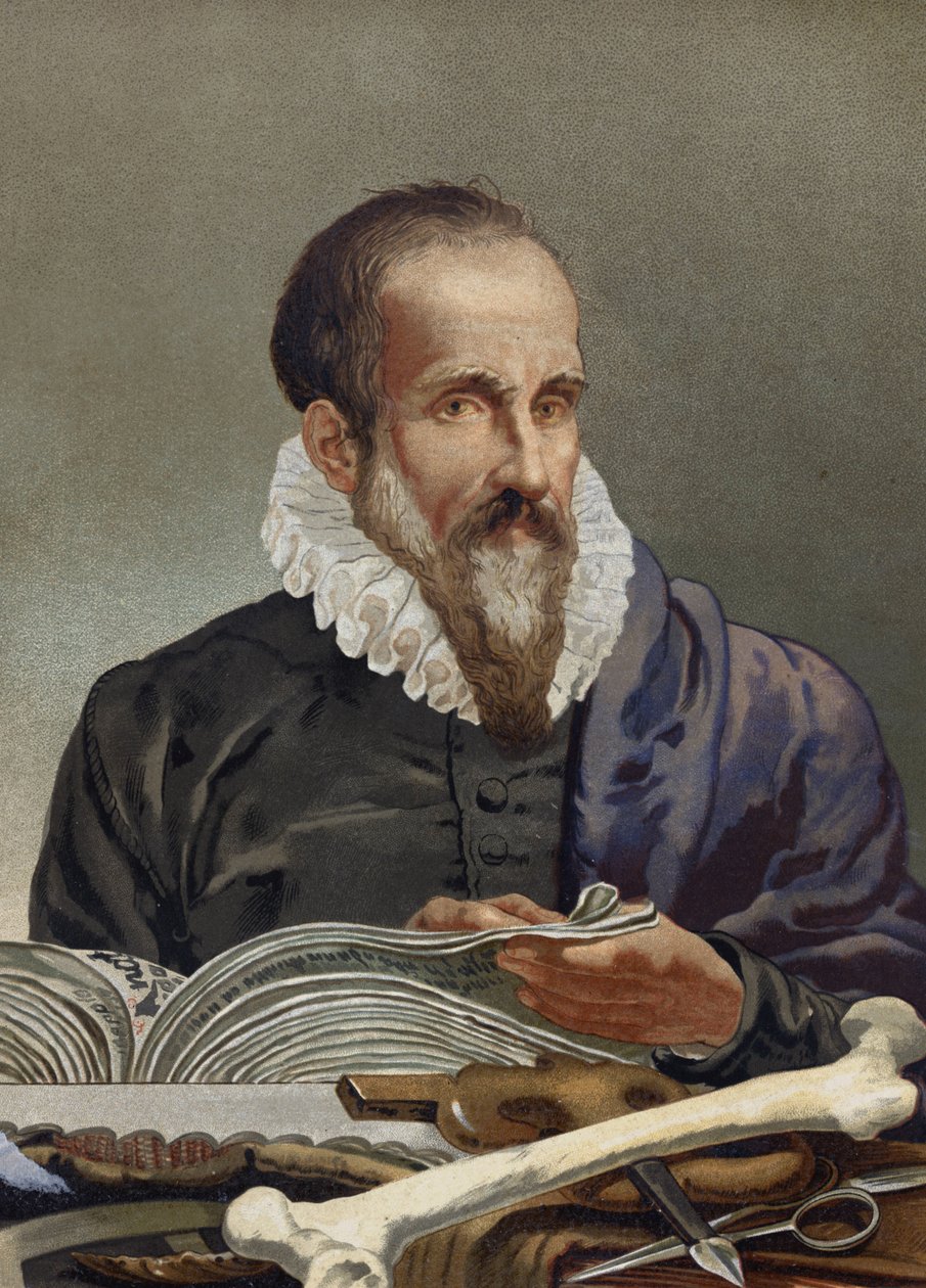 Portrét Ambroise Paré (1509-1590), francouzský chirurg. z knihy „Věda a její muži“ od Louise Figuiera. Barcelona 1881 od Unknown artist