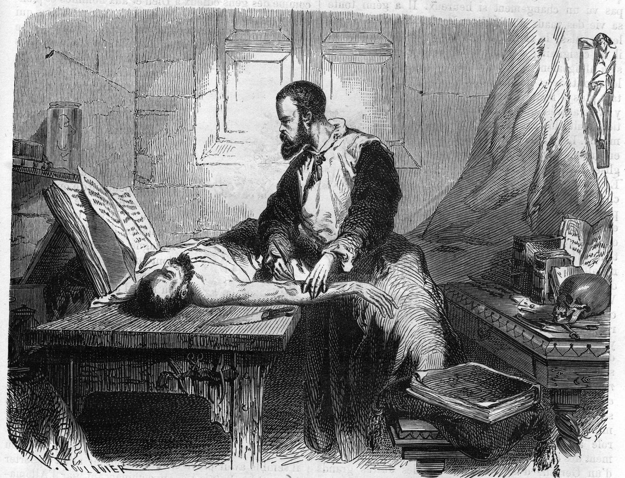 Portrét André Vésale (1514-1564), holandský anatom (v latině: Andrea Vesalius, holandsky: Andries Van Wesel). Rytina z roku 1866. od Unknown artist