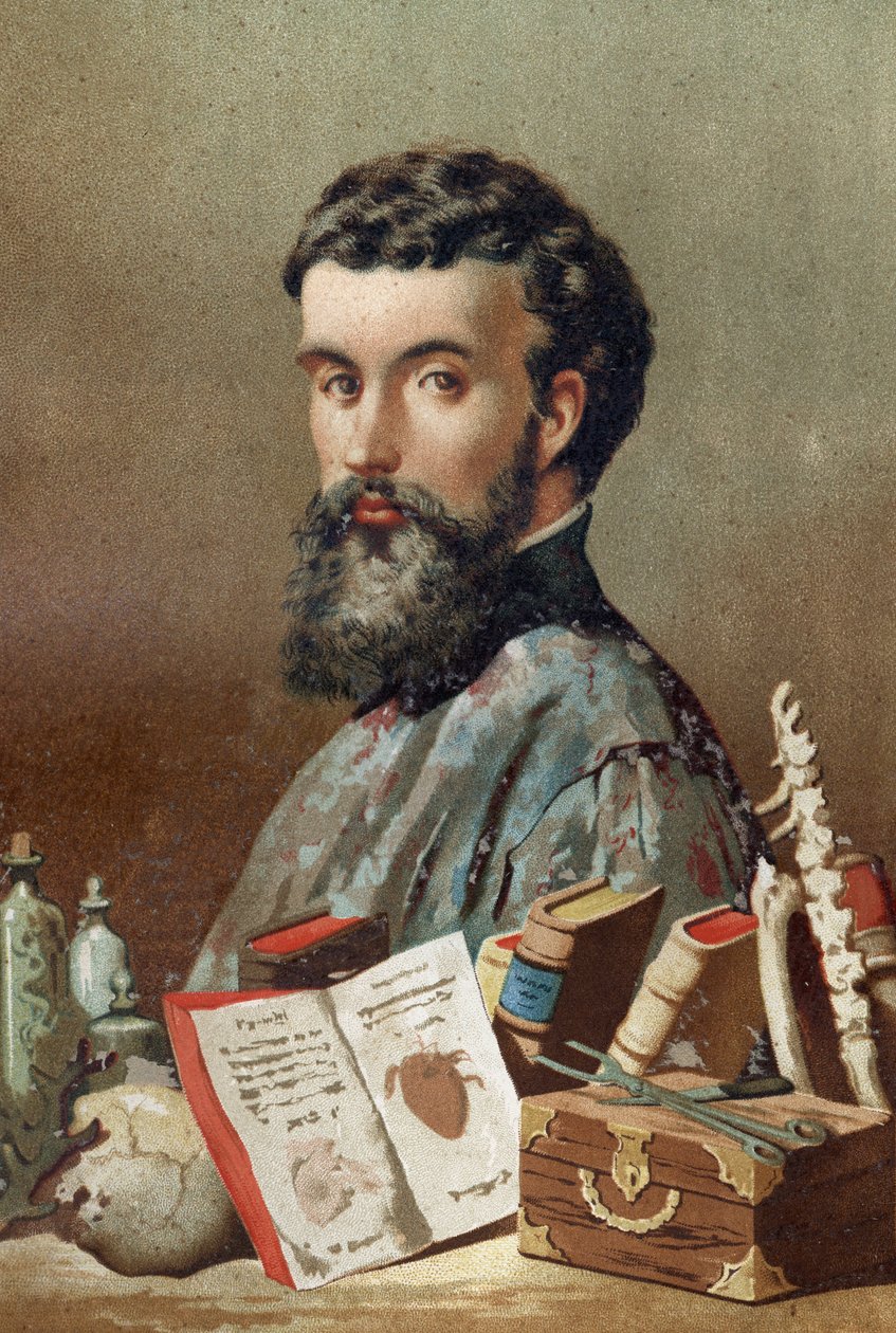 Portrét André Vésale (1514-1564), nizozemského anatoma (v latině: Andrea Vesalius, v nizozemštině: Andries Van Wesel) z knihy „Science and its Men“ od Louise Figuiera. Barcelona 1881. od Unknown artist