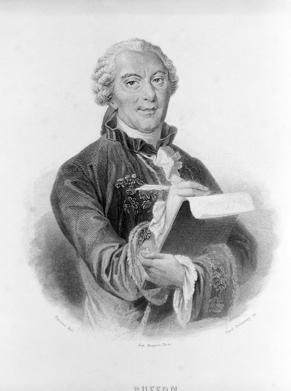 Portrét Buffona (1707 - 1788), francouzského přírodovědce a spisovatele. od Unknown artist