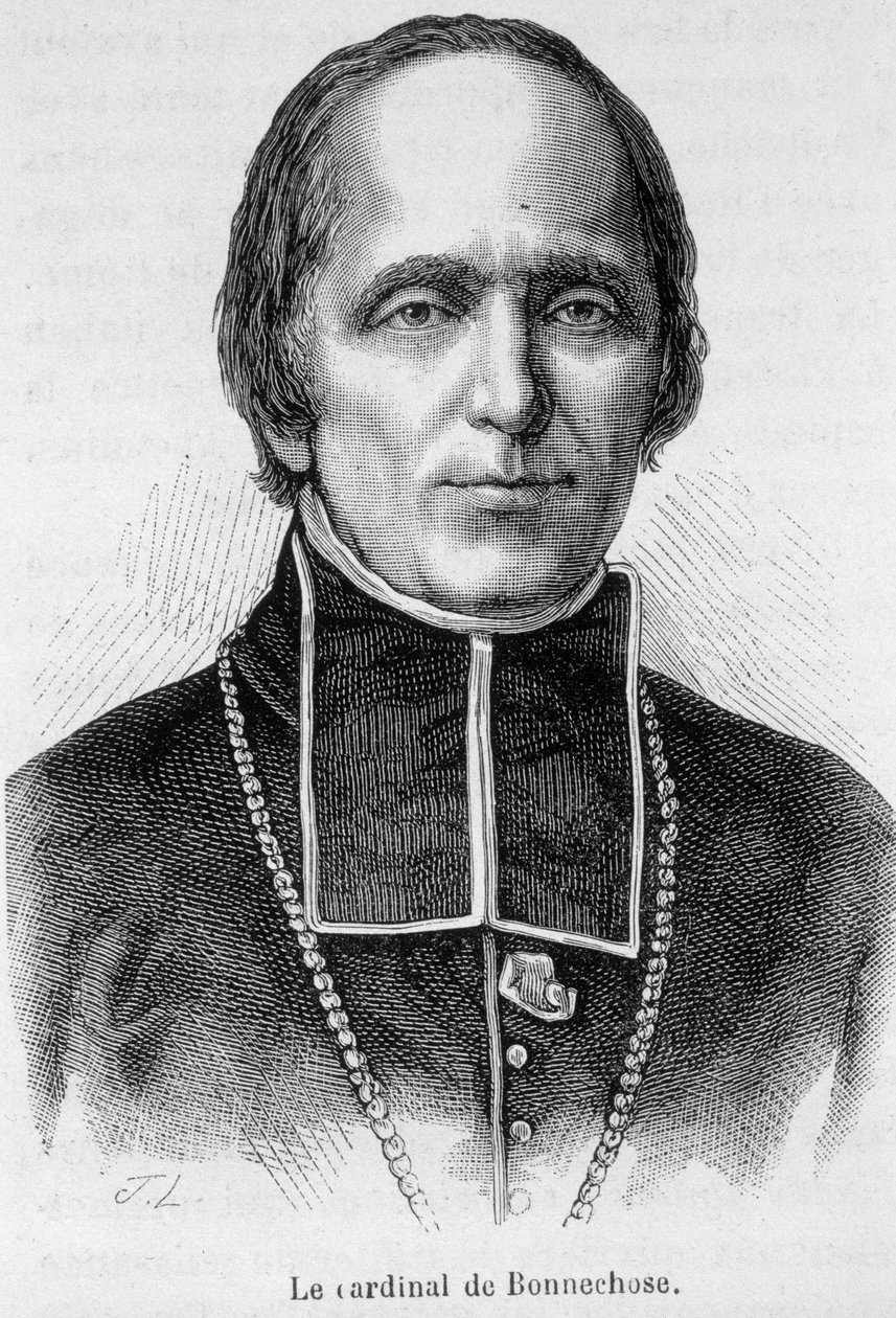 Portrét kardinála de Bonnechose od Unknown artist