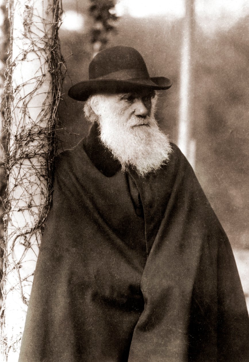 Portrét Charlese Darwina (1809-1882) od Unknown artist