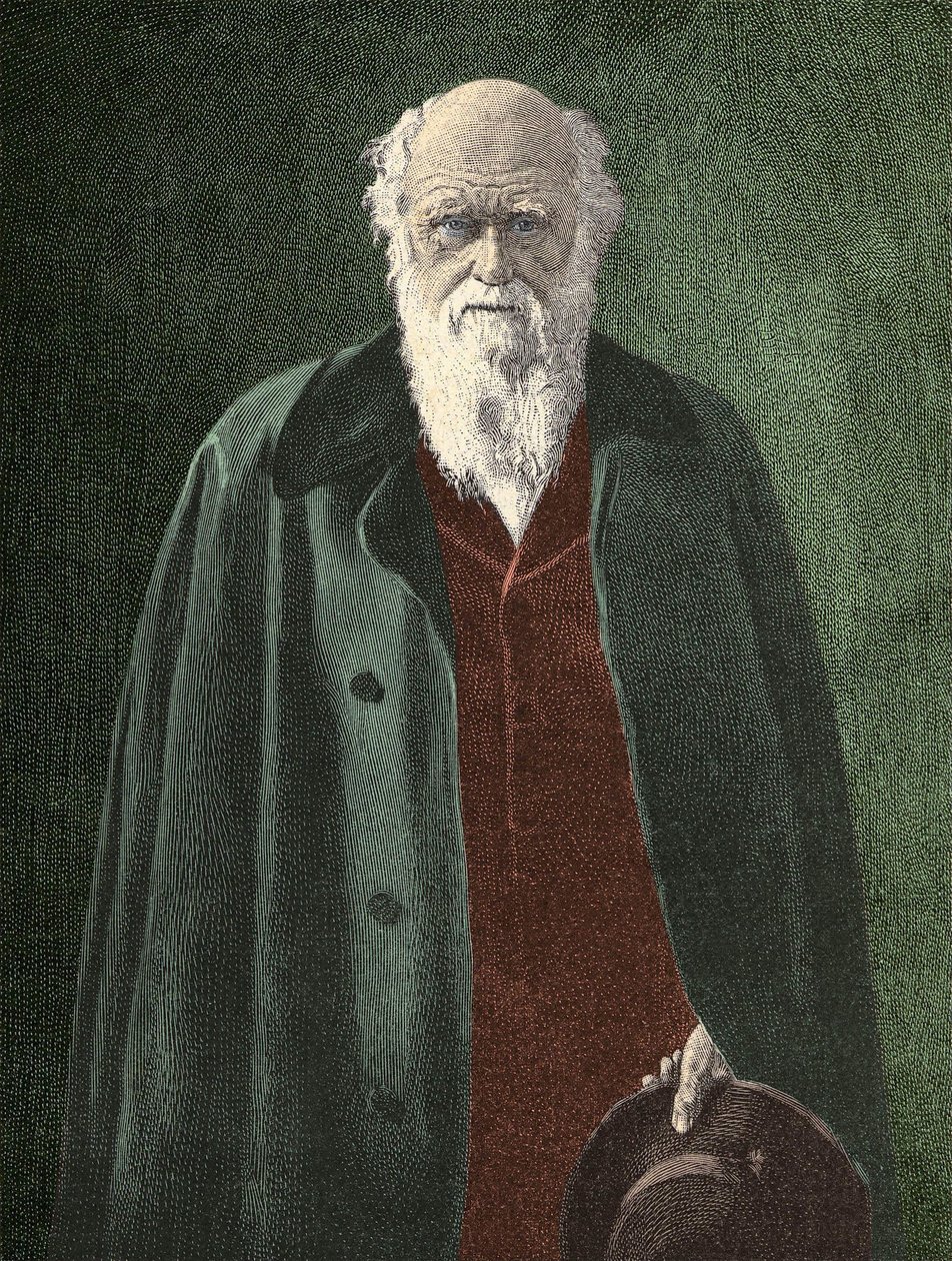 Portrét Charlese Darwina (1809 - 1882) od Unknown artist
