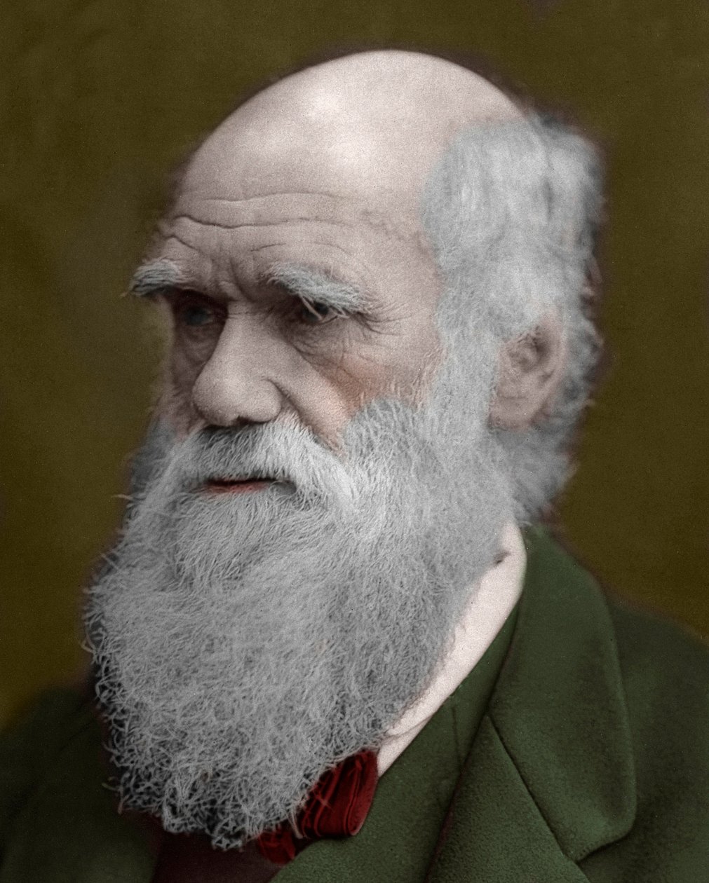 Portrét Charlese Darwina od Unknown artist