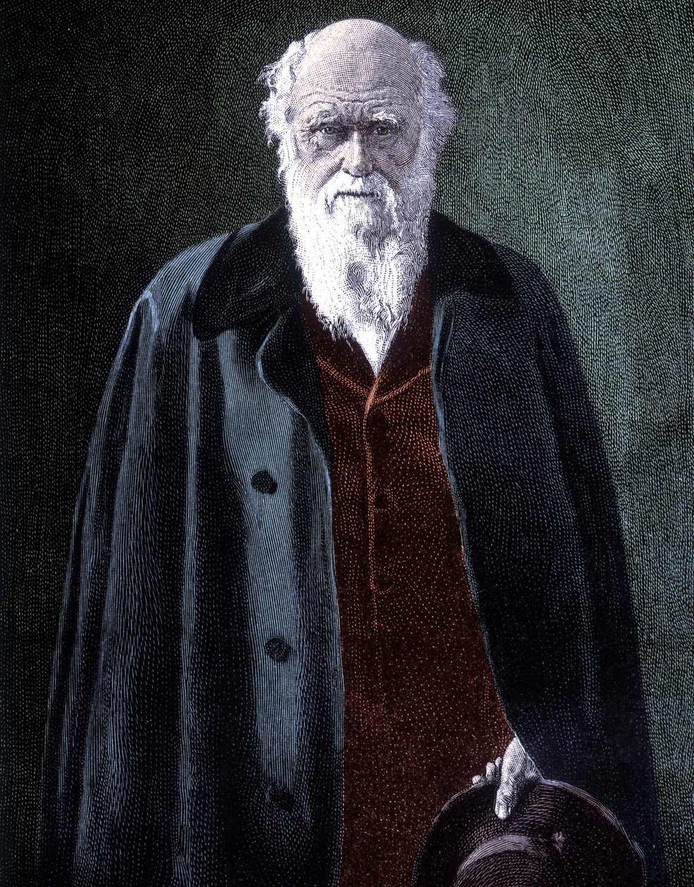 Portrét Charlese Darwina, britského přírodovědce (1809 - 1882) od Unknown artist