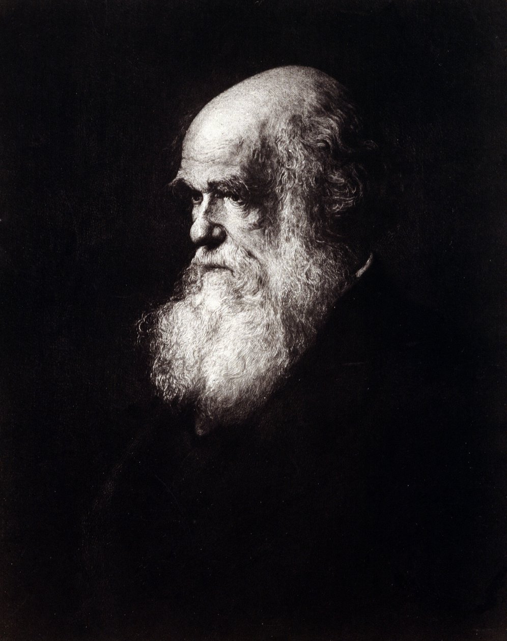 Portrét Charlese Roberta Darwina (1809 - 1882) od Unknown artist