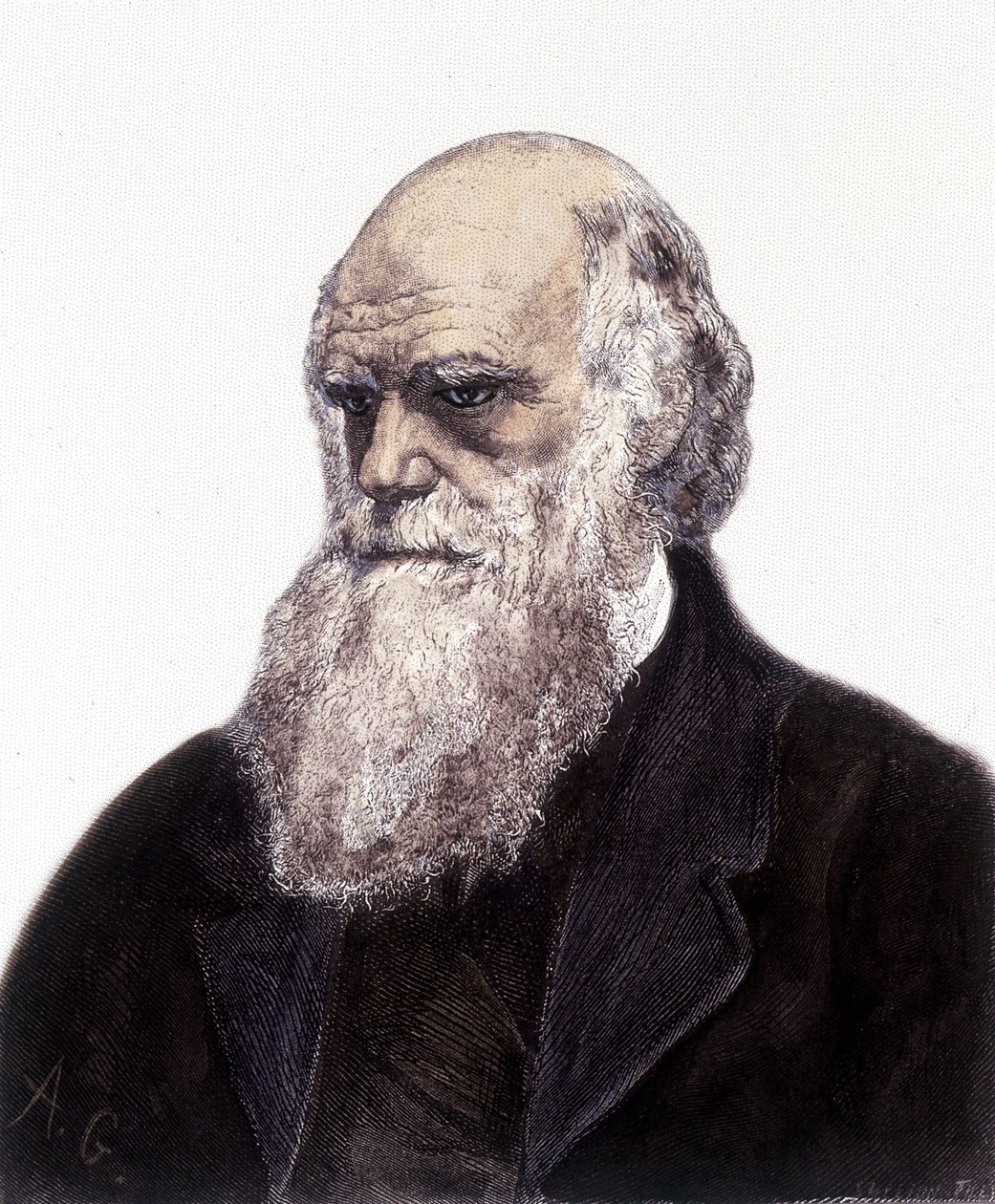 Portrét Charlese Roberta Darwina, britského přírodovědce (1809-1882) od Unknown artist