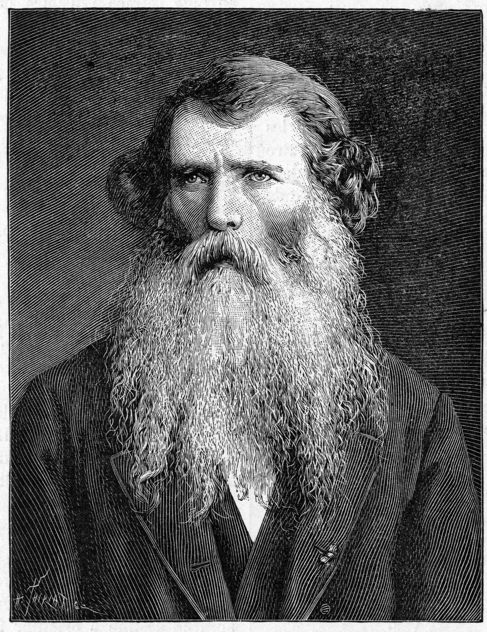Portrét Charlese Victora Naudina, francouzského botanika. (1815-1899).Rytina 1898. v „“ La Nature. Přehled věd a jejich aplikací v umění a průmyslu.“ od Unknown artist