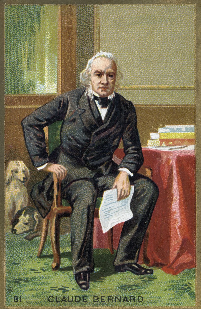 Portrét Clauda Bernarda (1813-1878), francouzského fyziologa. od Unknown artist