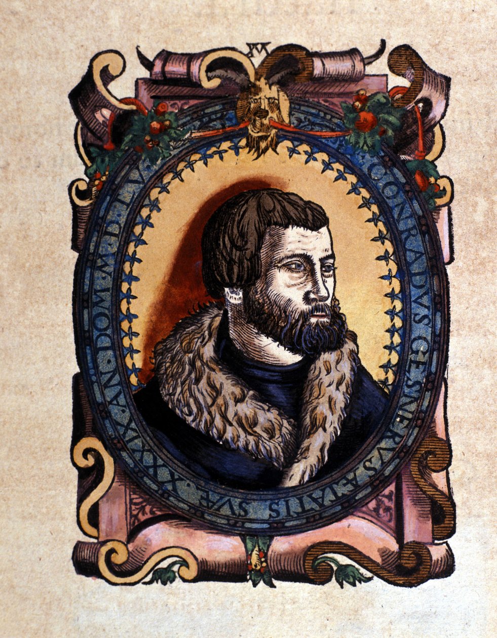 Portrét Conrada Gesnera (1516 - 1565) Curyšský lékař podle Historia Animalium od Conrada Gesnera, Tiguri 1560. Biblioteca Nazionale Braidense. Milán od Unknown artist