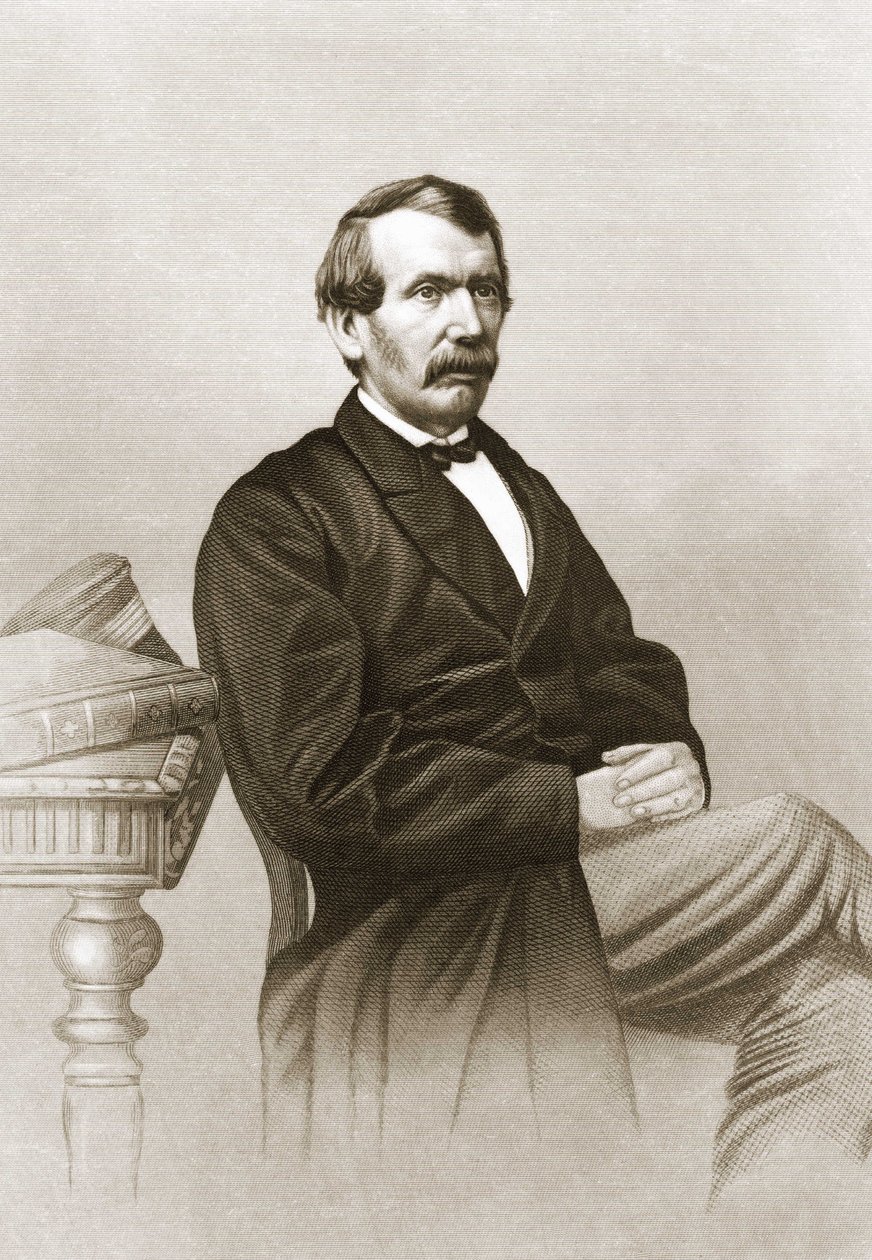Portrét Davida Livingstonea (1813 - 1873). od Unknown artist