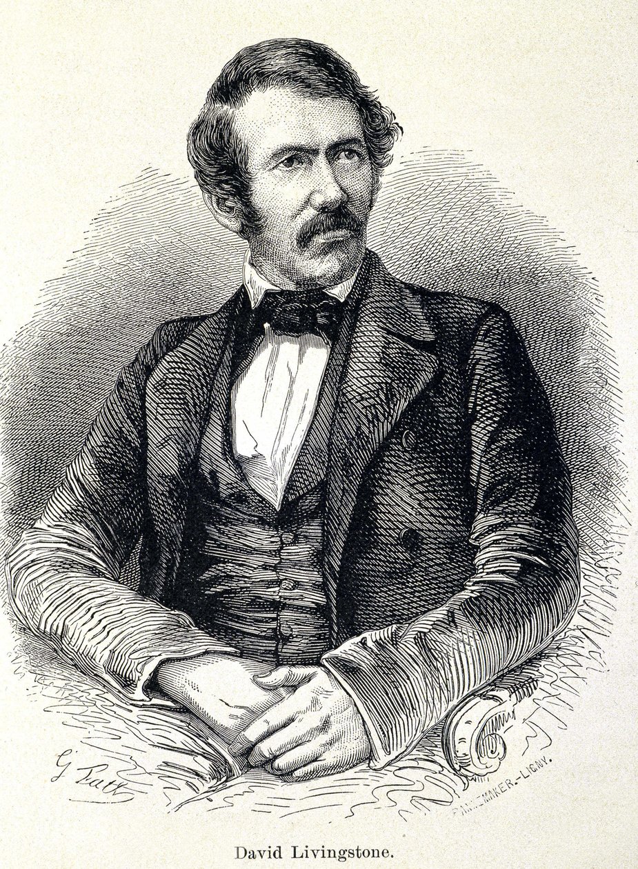 Portrét David Livingstone, skotský misionář (1813-1873) od Unknown artist