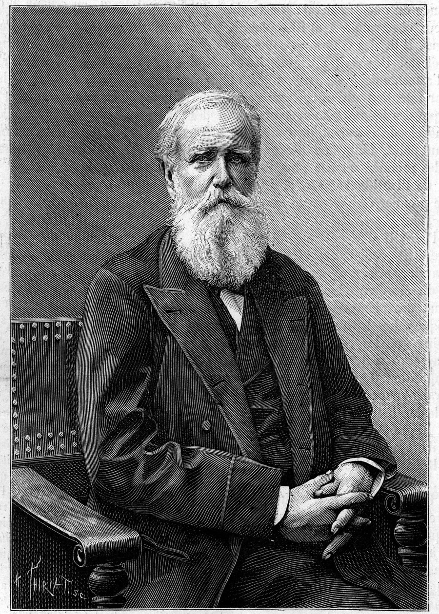 Portrét Doma Pedra II z Alcantary (Petra II.) (1825-1891), brazilského císaře. (Z fotografie Nadara). Rytina v "" Příroda: přehled věd a jejich aplikace v umění a průmyslu "" z 12. prosince 1891. od Unknown artist