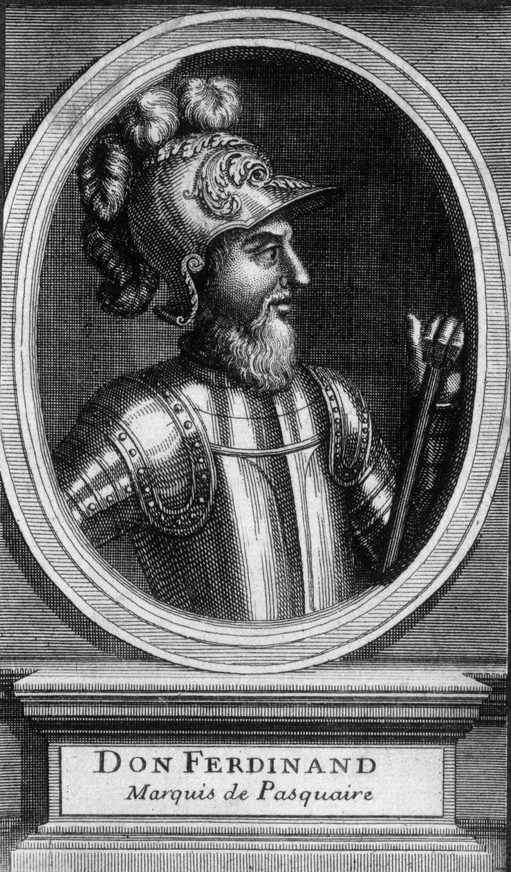 Portrét Dona Ferdinanda, markýze de Pasquaire - n.d. od Unknown artist