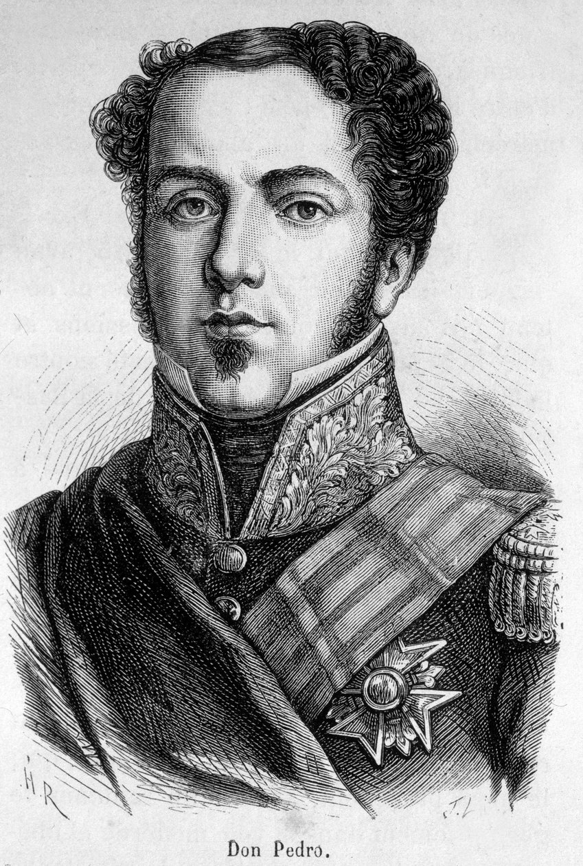 Portrét Dona Pedra od Unknown artist