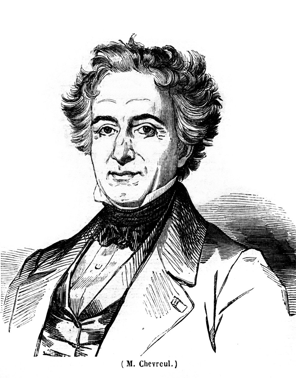 Portrét Eugena Chevreuila (1786-1889), francouzského malíře. od Unknown artist