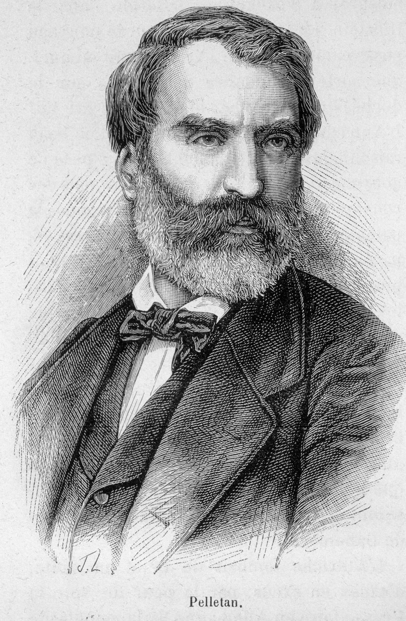 Portrét Eugena Pelletana (1813-1884), francouzského novináře, spisovatele a politika. od Unknown artist
