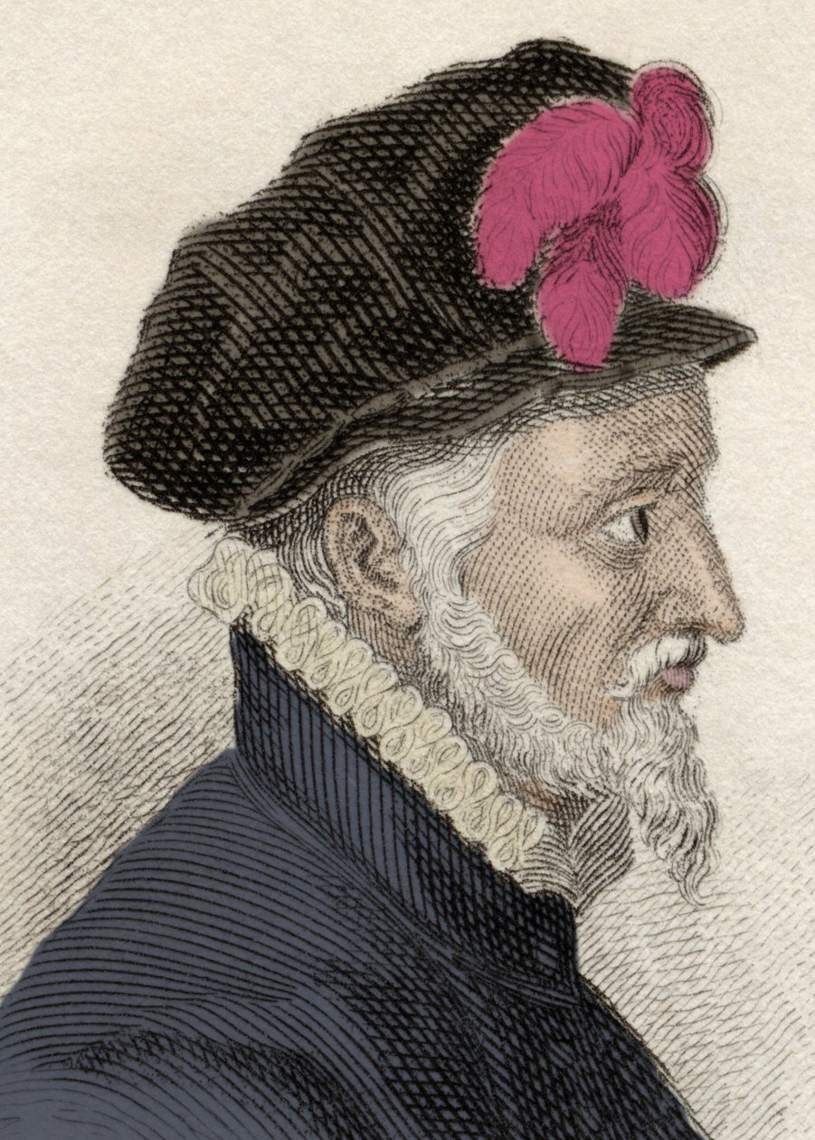 Portrét Fadrique Alvareze de Toledo y Enriquez de Guzman (1537-1583), zvaného Don Fadrique, čtvrtý vévoda z Alby, vévoda z Huescaru, markýz z Corie a velký velitel Řádu Calatravy. Rytina 19. století. od Unknown artist