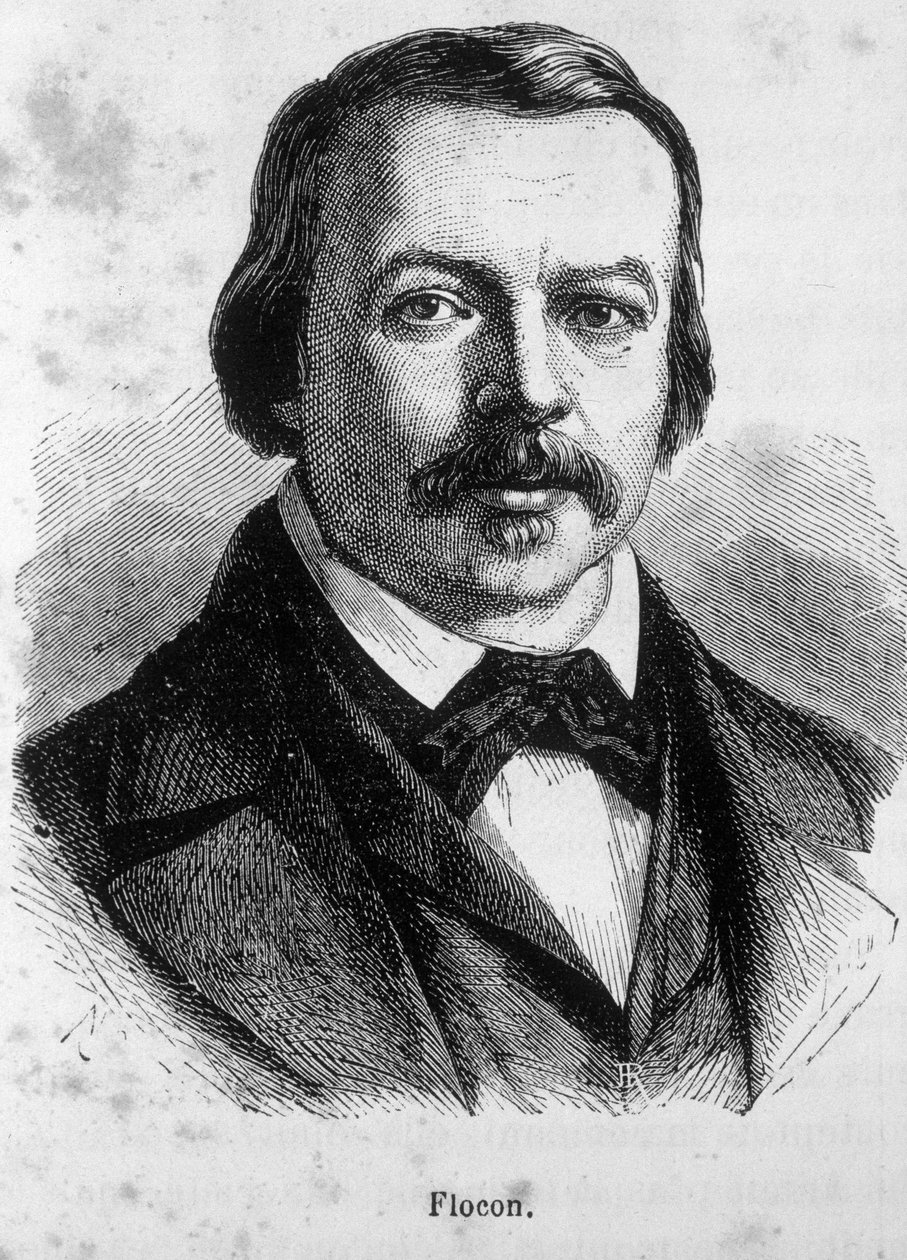 Portrét Flocona, francouzského novináře a politika (1800 - 1866) od Unknown artist