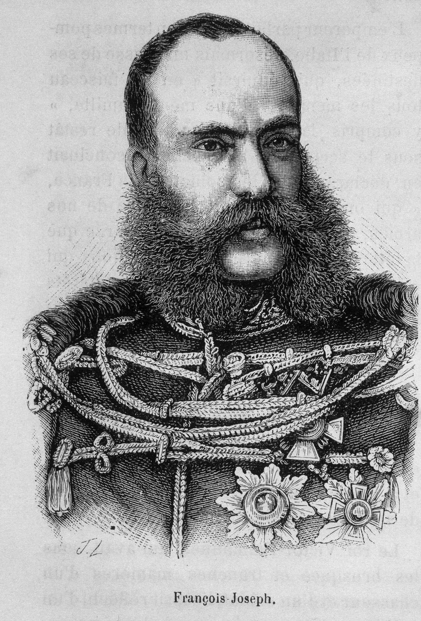 Portrét Františka Josefa I., rakouského císaře (1830 - 1916) od Unknown artist