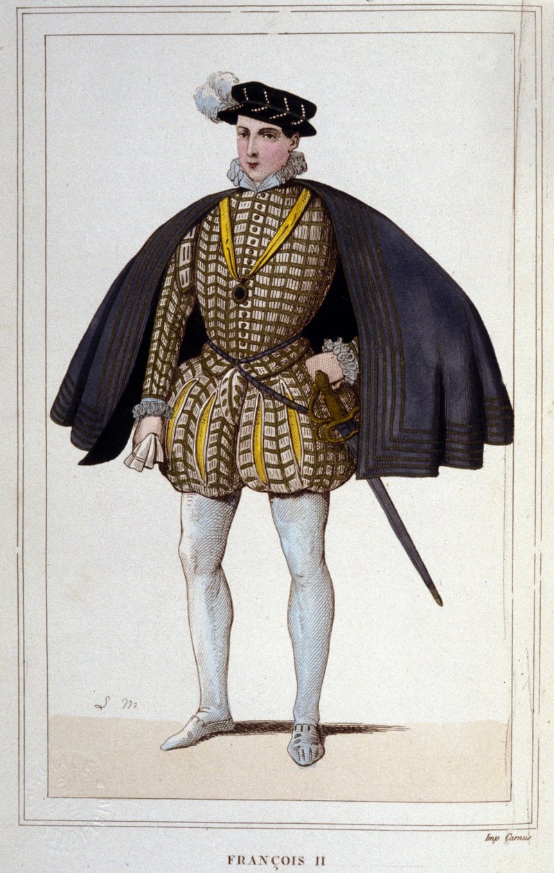 Portrét Františka II. (1544 - 1560), francouzského krále, rytina z roku 1830 od Unknown artist