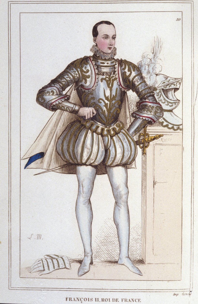 Portrét Františka II. (1544 - 1560), francouzského krále, rytina z roku 1830 od Unknown artist
