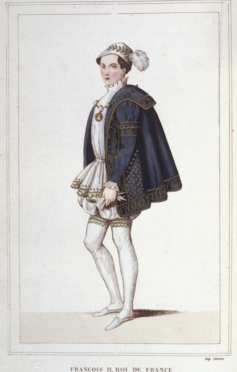 Portrét Františka II. (1544 - 1560), francouzského krále, rytina z roku 1830 od Unknown artist