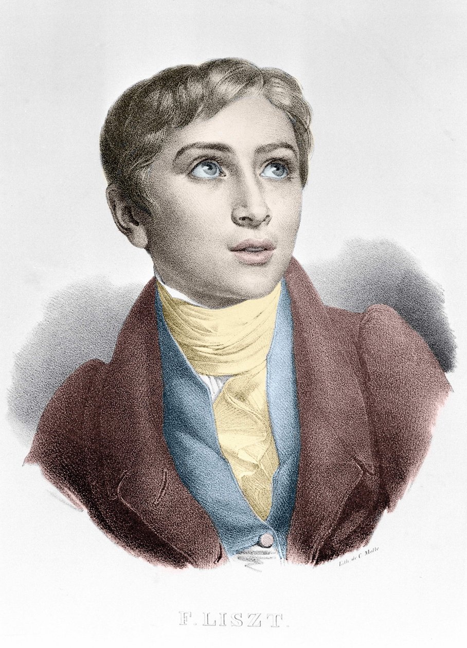 Portrét Franze Liszta (1811-1886), maďarského skladatele a klavíristy. od Unknown artist