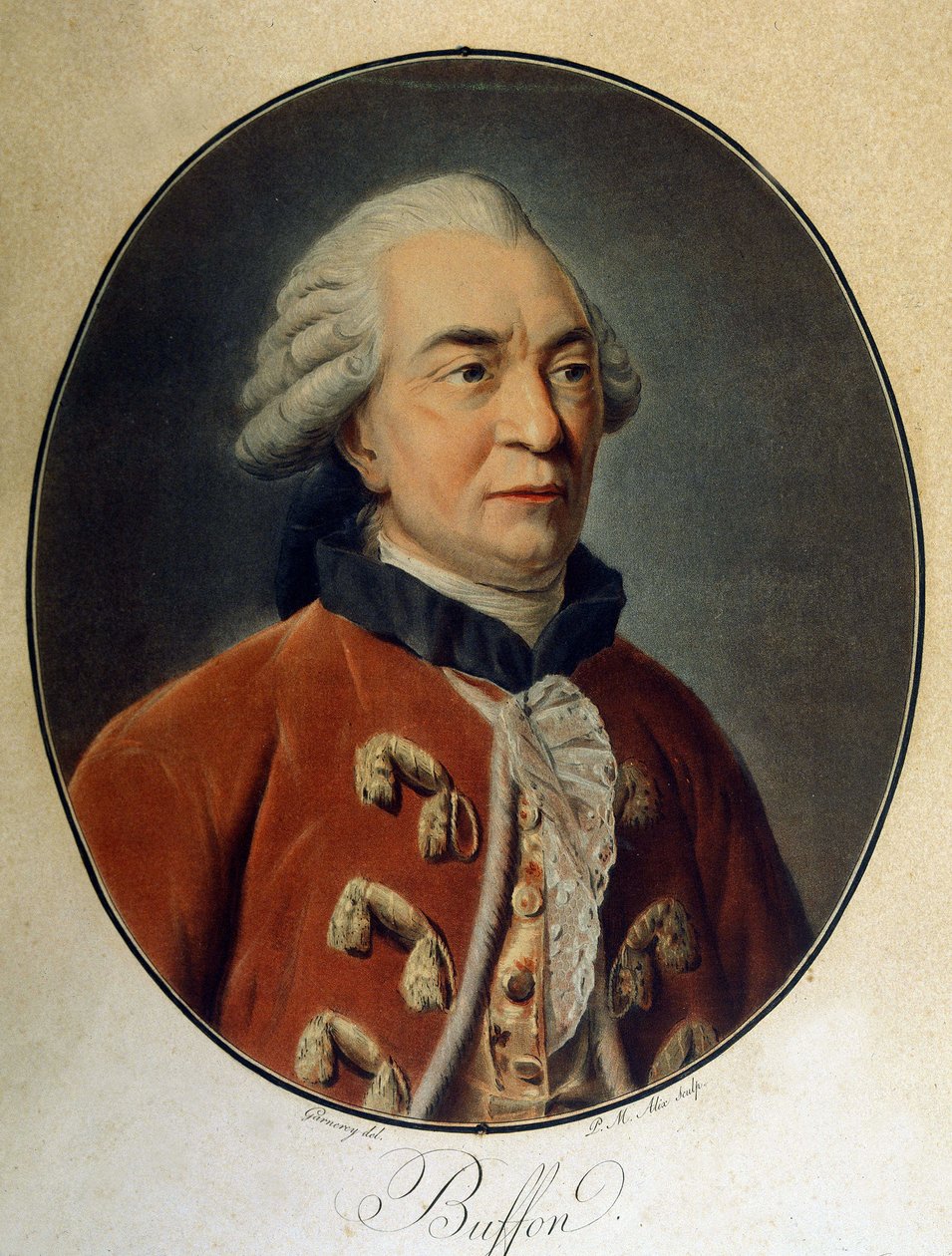 Portrét Georgese Louise Leclerca, hraběte z Buffonu (1707 - 1788), francouzského přírodovědce a spisovatele. od Unknown artist