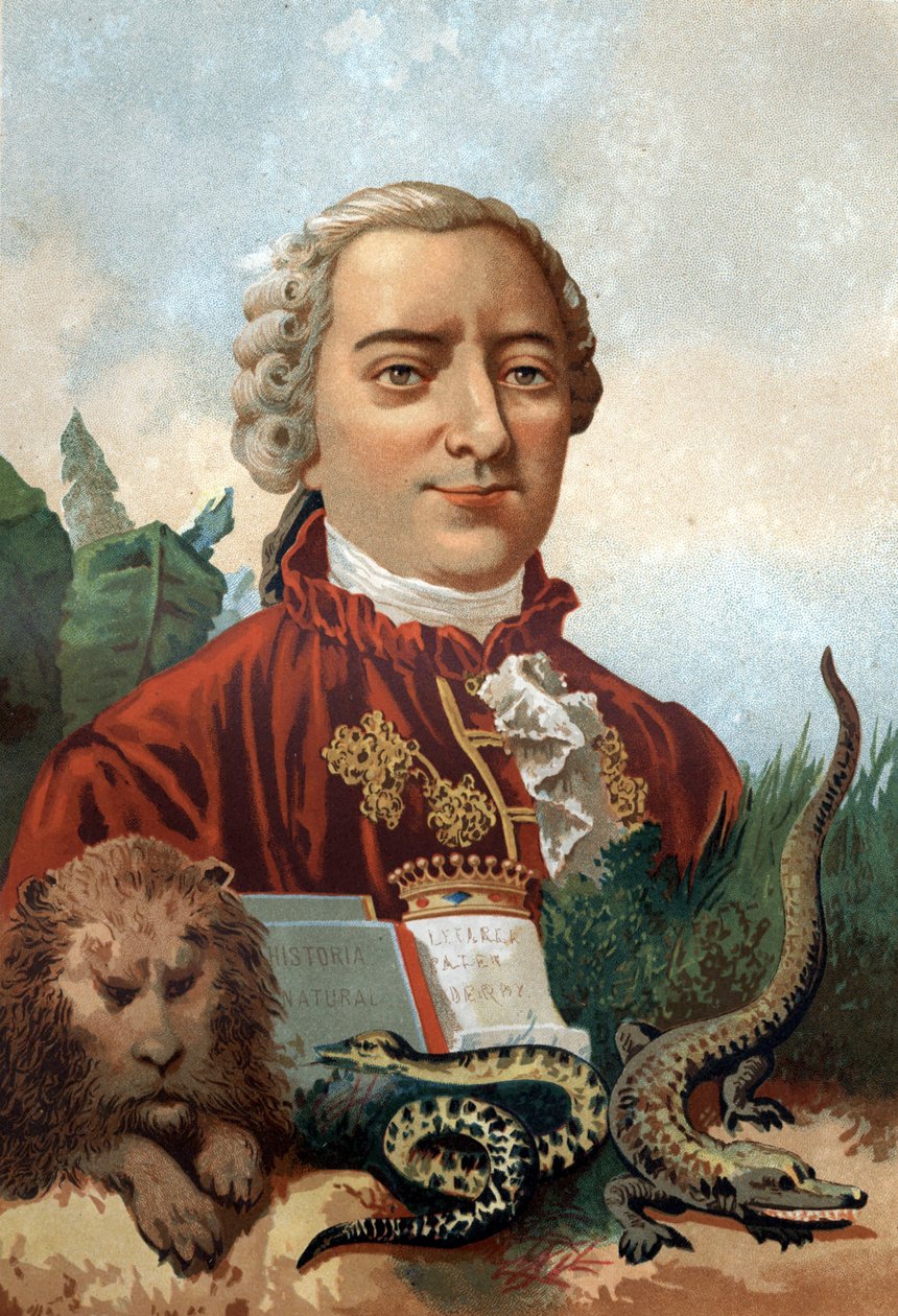 Portrét Georgese Louise Leclerca, hraběte z Buffonu (1707 - 1788), francouzského přírodovědce a spisovatele. Chromolitografie 19. století. po „La Ciencia y sus Hombres““ od Louise Figuiera. Barcelona 1881 od Unknown artist