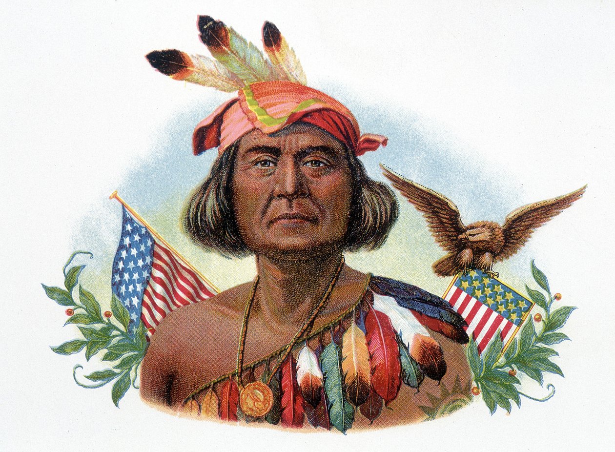 Portrét Geronima, šéfkuchaře Apačů před americkými vlajkami. Chromolitografie 19. století. od Unknown artist