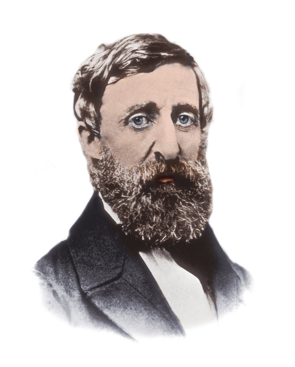 Portrét Henryho Davida Thoreaua (1817-1862) - americký esejista, básník, filozof, abolicionista, přírodovědec, daňový odpůrce, kritik rozvoje, zeměměřič a historik od Unknown artist