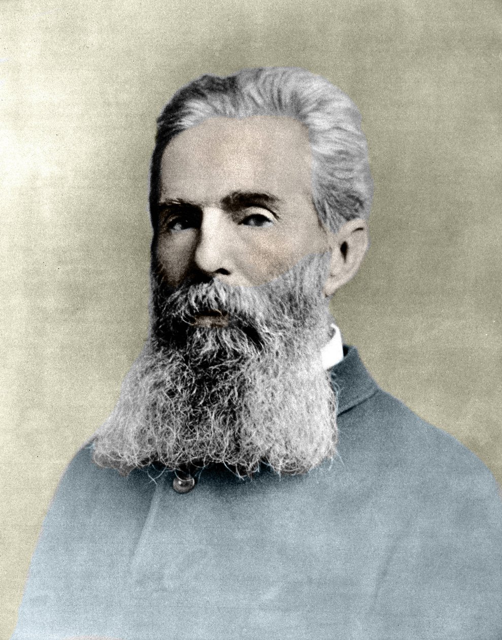 Portrét Hermana Melvilla (1819 -1891) americký romanopisec. od Unknown artist