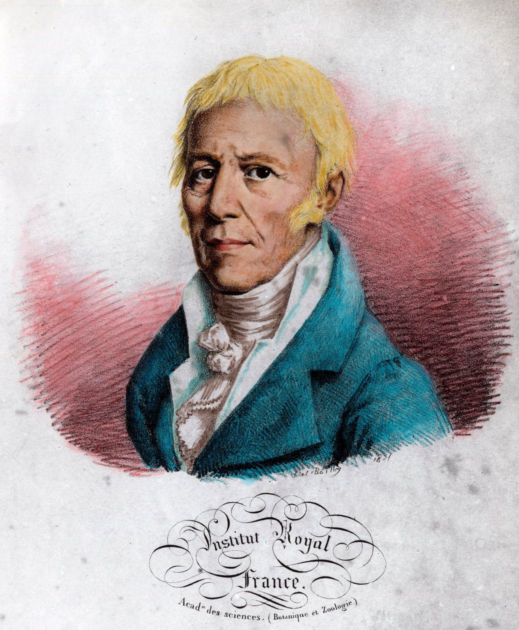 Portrét Jean Baptiste Lamarck (1744-1829), francouzský přírodovědec. Rytina 19. století. Soukromá sbírka. od Unknown artist