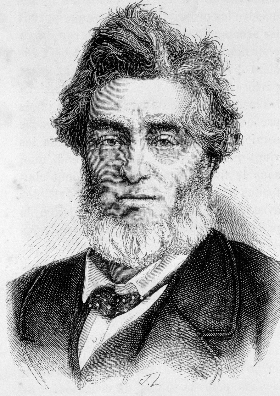 Portrét Julese Favrea (1809 -1880), francouzského politika. od Unknown artist